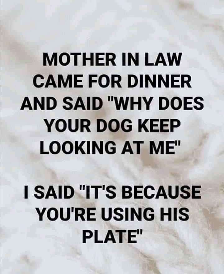 ===========================================JOKE
YOU ARE USING THE DOGS
PLATE-=====================================================================JOKE
YOU ARE USING THE DOGS PLATE---