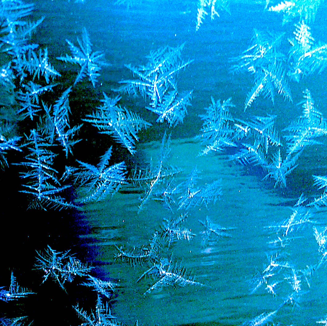 ===========================================IMAGE
FROST-CRYSTALS-ON-CAR-CLOSE-UP==============================================================================IMAGE
FROST-CRYSTALS-ON-CAR-CLOSE-UP==