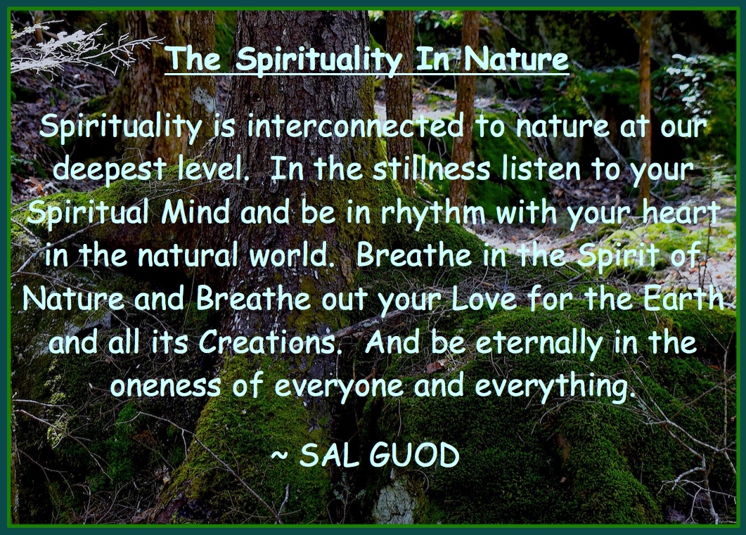 ===================================================PANEL-LINK-SPIRITUALITY-OF-NATURE========================================================================================QUOTE THE-SPIRITUALITY-IN-NATURE--
